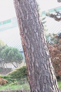 Impressive Doll Makes A Mess On The Floor